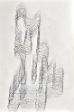 pierres et écorces